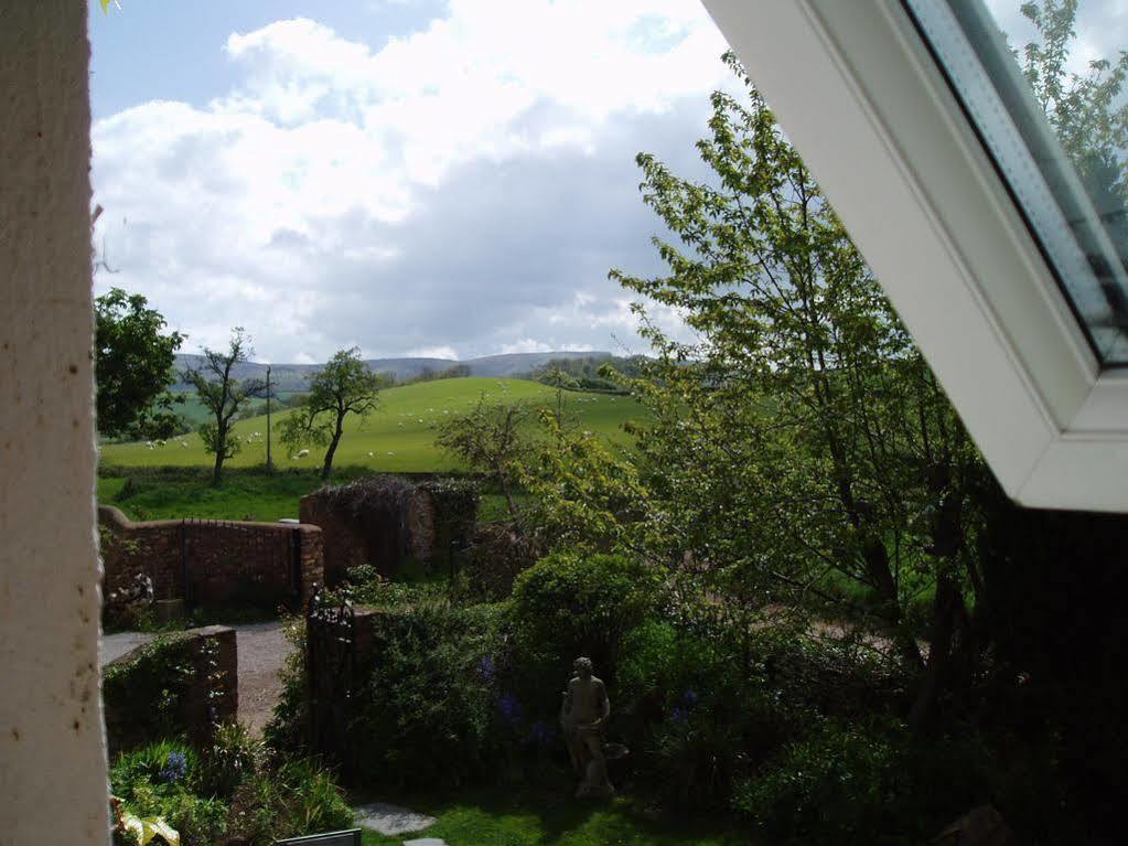 Catwell House Bed and Breakfast Williton Esterno foto